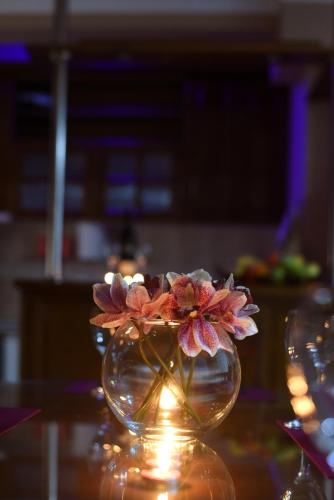 Apartment Viollet - image 7