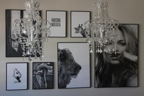  FOROPLAZA Porta San Pedro Pleno Centro Vistas Muralla in Lugo