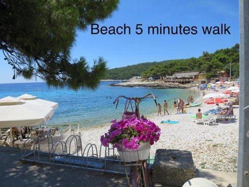  Apartments Dida in Hvar