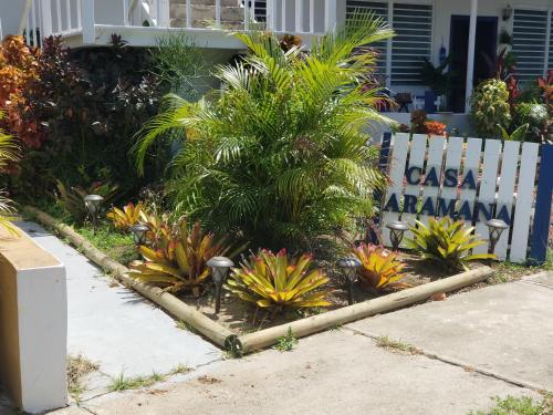 Casa Aramana - main image