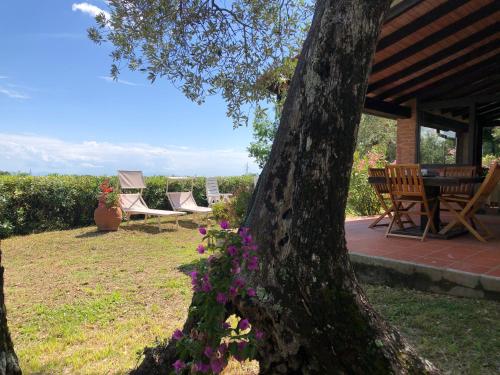 Cottage Gaia with sea view, fenced garden by ToscanaTour