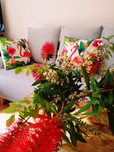 Appartement Familial Dans Le Triangle Dor Ajaccio - image 11