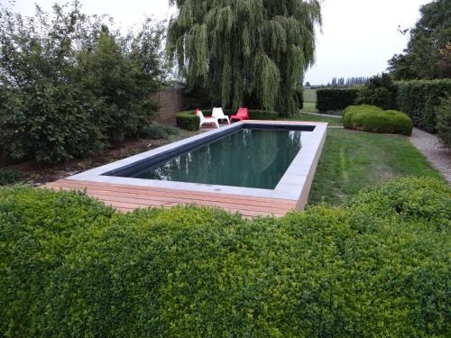 花園, Rue du Canal in 阿爾弗靈厄姆