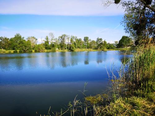 Gîte à la campagne - Etat Nature gîte à louer Xaffévillers
