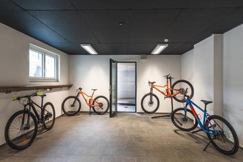 Naco Aparthotel by Arca Spa, Zermatt (photo 10)