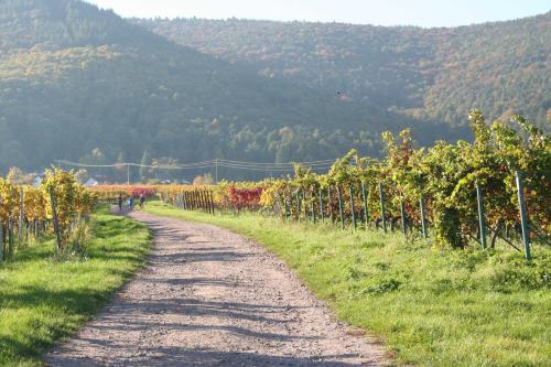 Ferienwohnung Spatzennest - image 7