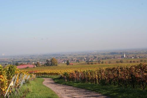 Ferienwohnung Spatzennest - image 12