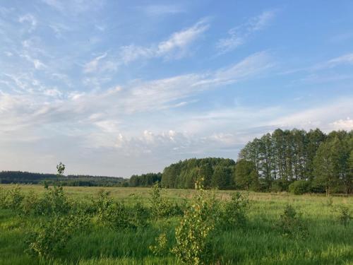 Agroturystyka w zielonym spichlerzu, Puszcza Białowieska