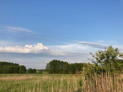 Agroturystyka w zielonym spichlerzu, Puszcza Białowieska