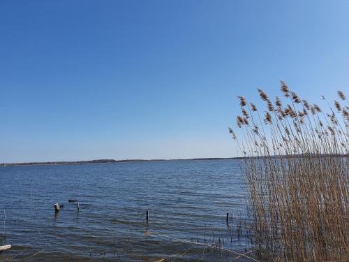 Slowly Glamping Osada Nad Wodą