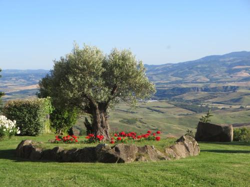 Appartamento Melograno in casale con piscina - Val d'Orcia 5