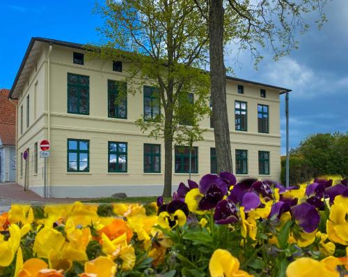Apartment in Neustadt in Holstein 