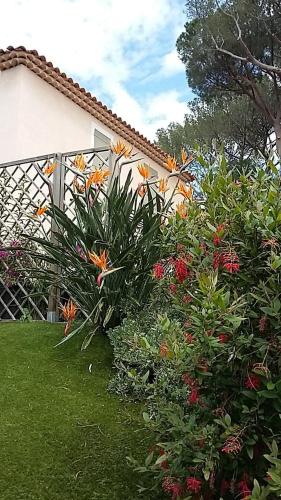 Les Bastides du Haut Para in บองเมอ เลส โมซาส