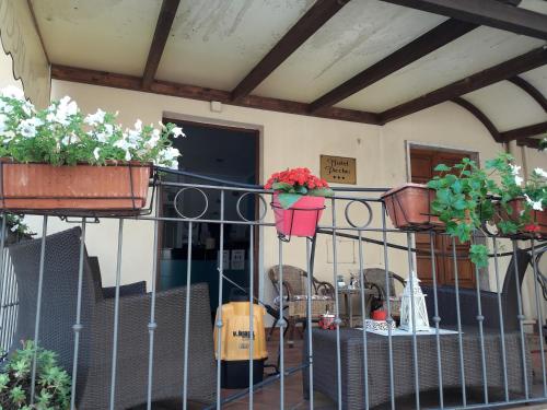 Hotel Picchio – Orvieto, VT