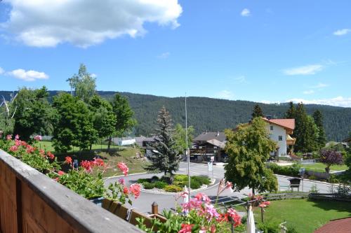 Gasthof zum Grünen Baum