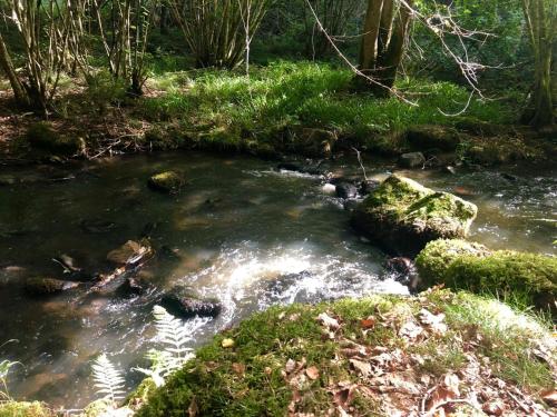 Les Brizards, L'Auberge - Morvan (8 personnes)