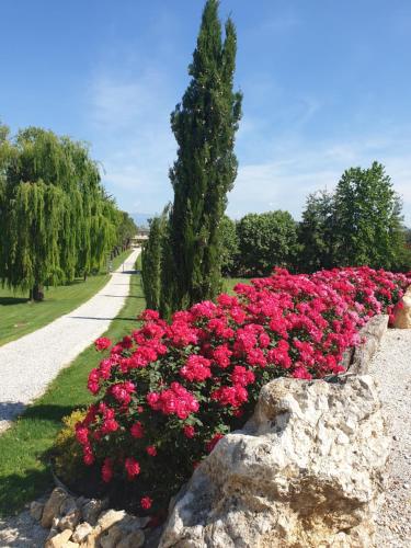 Agriturismo Relais Maddalene101