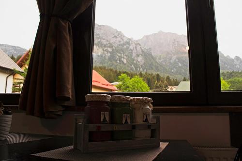 Apartament Mountain Life