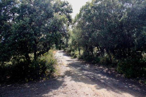 Cortijo el Tesoro