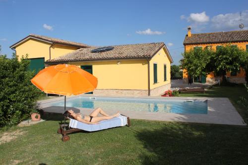Swimming pool, B&b Agli Ulivi Di Mascio in Ostra Vetere