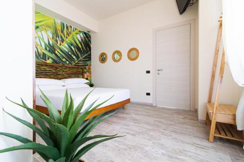 B&B 49 passi