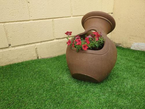 Sleeping Sarria Hostel - image 12