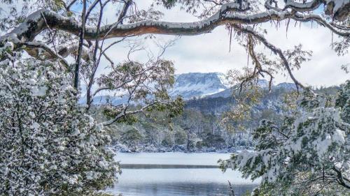 Lake St Clair Lodge