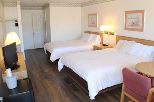 Motel Torrey