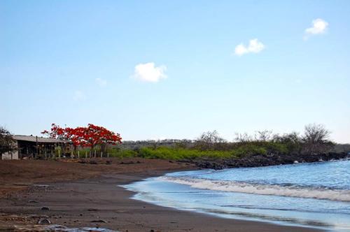 Black Beach House in Puerto Velasco Ibarra