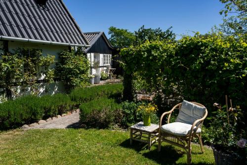 Garden, Svenskebakken Bed & Breakfast in Roskilde