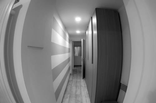 Suite Eleven 3