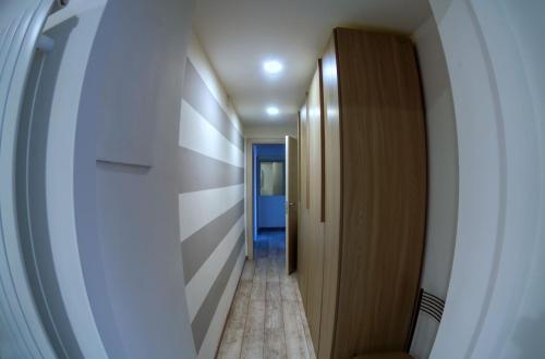 Suite Eleven 2