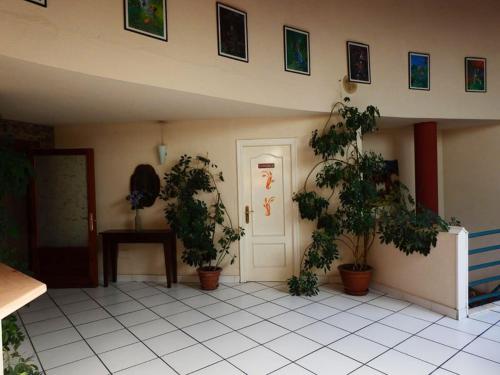 Hotel Viar photo