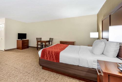 Comfort Inn & Suites Cincinnati Eastgate - image 30