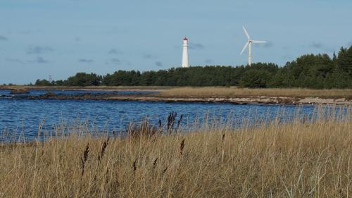 Uue-Hallikivi Talu