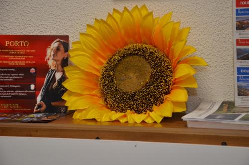 Hotel Girassol - image 13