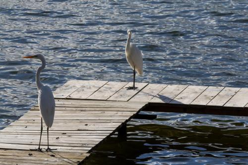 Ferienhaus Malgosia direkt am See