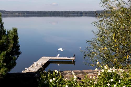 Ferienhaus Malgosia direkt am See