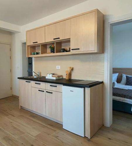 One-Bedroom Apartment image 8