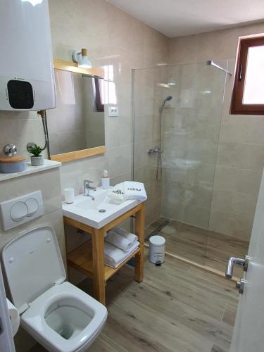 One-Bedroom Apartment image 3