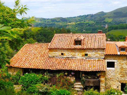 Apartamento en Plena Naturaleza - Apartment - La Cavada