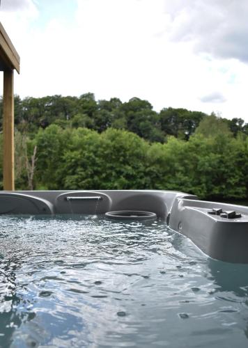  La Villa de Monsieur Albert in Profondeville