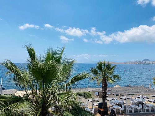 Zest Exclusive Hotel & Spa in Ortakentyahşi