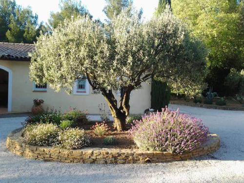 Maison privee au calme dans Mas provencal