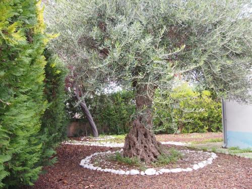  Villa Ivana - Homelike Villas, Unterkunft in Castelraimondo