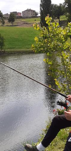 Appartamenti Cenni - Relais su Lago