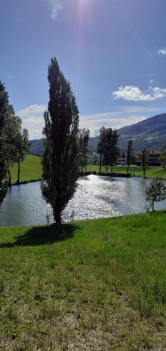 Appartamenti Cenni - Relais su Lago 3