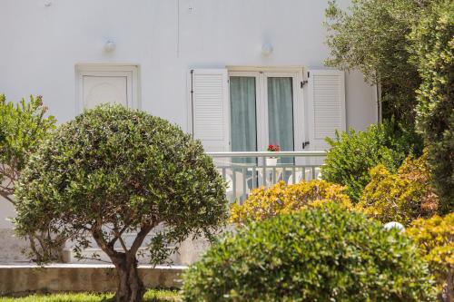 John's Rooms & Studios in Paros