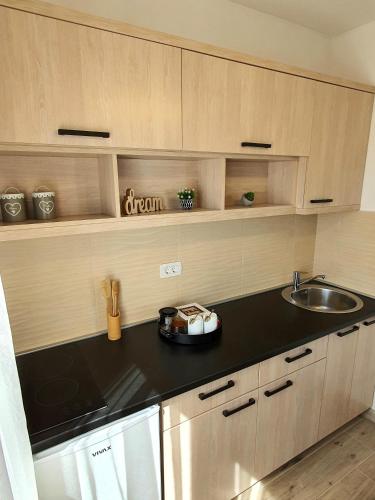 One-Bedroom Apartment image 6