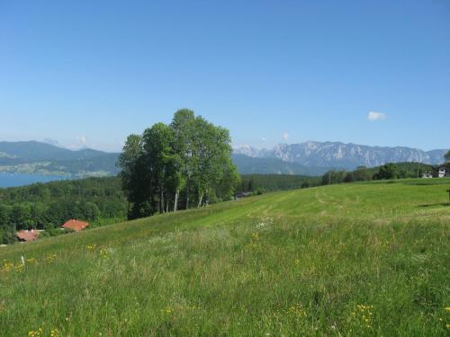 Gasthof Pension Steinberger